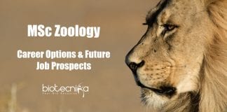 Career Options After MSc Zoology