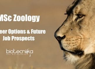 MSc Zoology : Career Options & Future Job Prospects Career Options After MSc Zoology