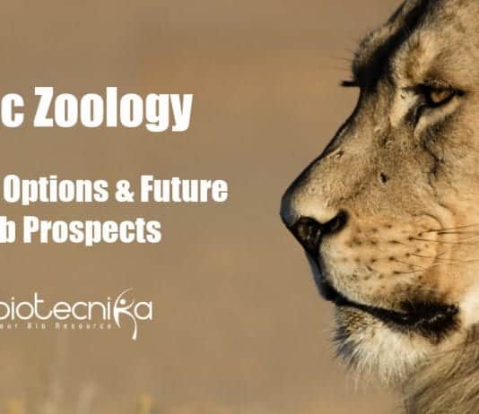 Career Options After MSc Zoology