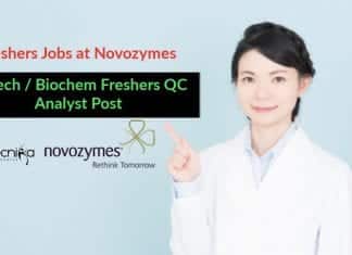 Freshers Jobs at Novozymes
