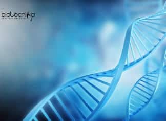 Freshers Life Science Research