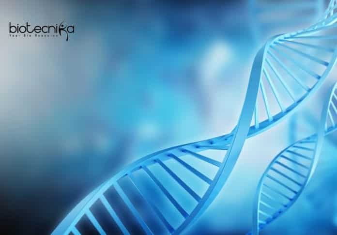 Freshers Life Science Research