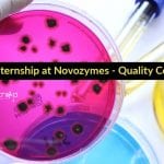 Freshers QC Internship