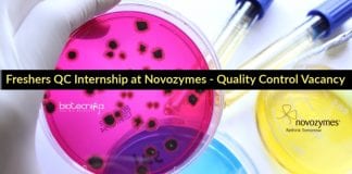 Freshers QC Internship