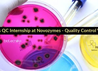 Freshers QC Internship