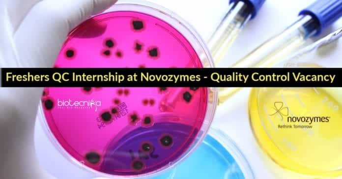 Freshers QC Internship