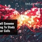 Single Cell Genome Sequencing To Reveal Genetic Diversity Of Cancer Cells Genetic Diversity of Cancer Tumors