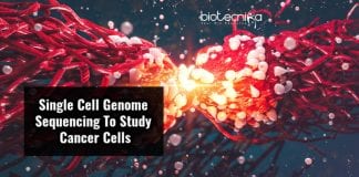 Genetic Diversity of Cancer Tumors