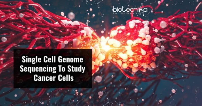 Genetic Diversity of Cancer Tumors
