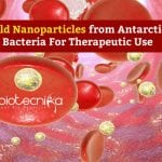 Gold Nanoparticles from Antarctic Bacteria