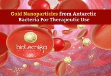 NCPOR & GU Synthesize Gold Nanoparticles from Antarctic Bacteria Gold Nanoparticles from Antarctic Bacteria