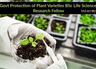 Govt Protection of Plant Varieties BSc Life Science Research Fellow Govt Protection of Plant