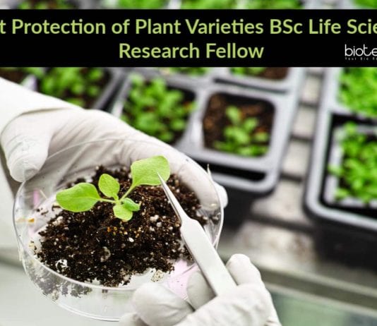 Govt Protection of Plant