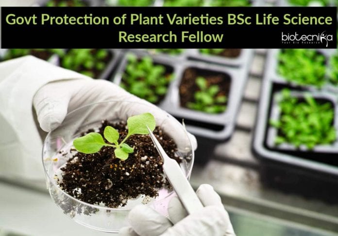 Govt Protection of Plant