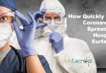How quickly can coronavirus spread