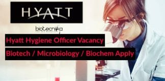 Hyatt Hygiene Officer Vacancy