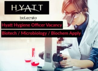 Hyatt Hygiene Officer Vacancy