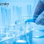 IASST Cell Biology / Molecular Biology Project Associate Job Opening IASST Cell Biology