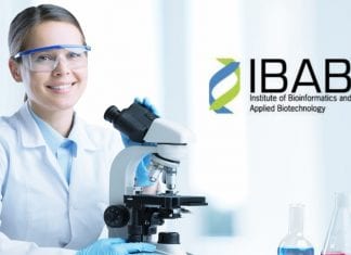 IBAB SRF Job Vacancy