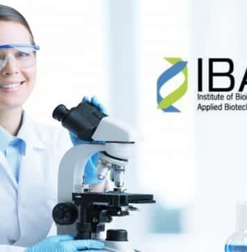 SRF Post in DBT Funded Project at IBAB, Bengaluru IBAB SRF Job Vacancy