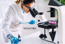 ICAR-CIFT Biochem / Food Tech Project Assistant Job Opening ICAR-CIFT Biochem