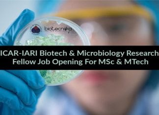 ICAR-IARI Biotech / Microbiology