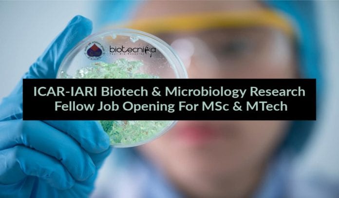 ICAR-IARI Biotech / Microbiology