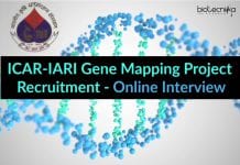 ICAR-IARI Gene Mapping Project Recruitment – Online Interview ICAR-IARI Gene Mapping Project