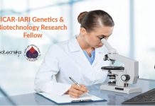 ICAR-IARI Genetics & Biotechnology Research Fellow Job Opening ICAR-IARI Genetics & Biotech