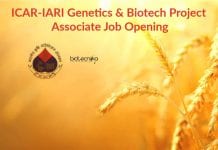 ICAR-IARI Genetics & Biotech Project Associate Job Opening ICAR-IARI Genetics & Biotech