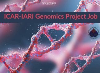 ICAR-IARI Genomics Project Job