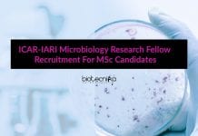 ICAR-IARI Microbiology Research Fellow Recruitment For MSc Candidates ICAR-IARI Microbiology Research Fellow