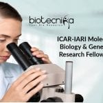 ICAR-IARI Molecular Biology & Genetics Research Fellow Job ICAR-IARI Molecular Biology
