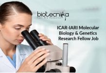 ICAR-IARI Molecular Biology & Genetics Research Fellow Job ICAR-IARI Molecular Biology