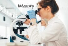 ICAR-IISR Biotech / Biochem & Mol Biology Research Fellow Jobs ICAR-IISR Biotech