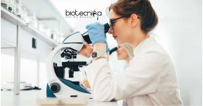 ICAR-IISR Biotech