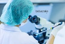 ICAR-NBFGR Biological & Life Sciences Young Professional Jobs ICAR-NBFGR Biological & Life