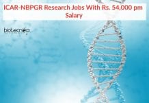 ICAR-NBPGR Research Jobs With Rs. 54,000 pm Salary ICAR-NBPGR Biotech Research Jobs