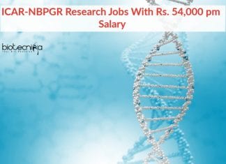 ICAR-NBPGR Biotech Research Jobs