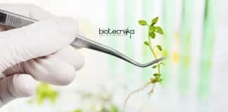 ICAR-NBPGR Botany Research Jobs