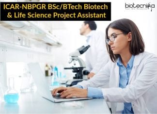 ICAR-NBPGR Project Assistant Job