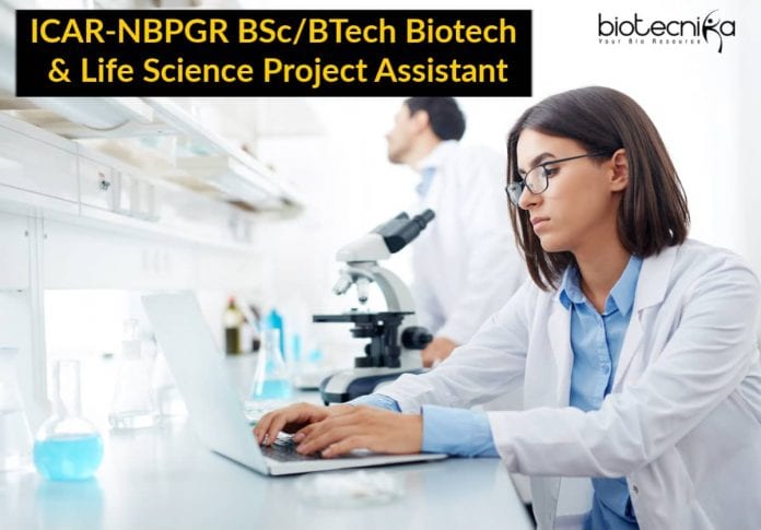 ICAR-NBPGR Project Assistant Job