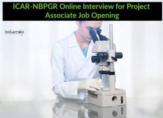 ICAR-NBPGR Online Interview for Project Associate Job Opening ICAR-NBPGR Project Associate