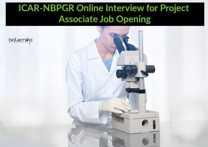 ICAR-NBPGR Project Associate
