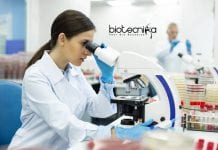 ICMR New Delhi Technical Assistant Job – Biological & Life Science Apply ICMR Technical Assistant Job