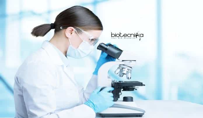 ICRISAT Bioinformatics Job