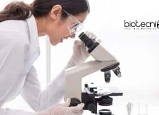 IISER Kolkata Biotech JRF