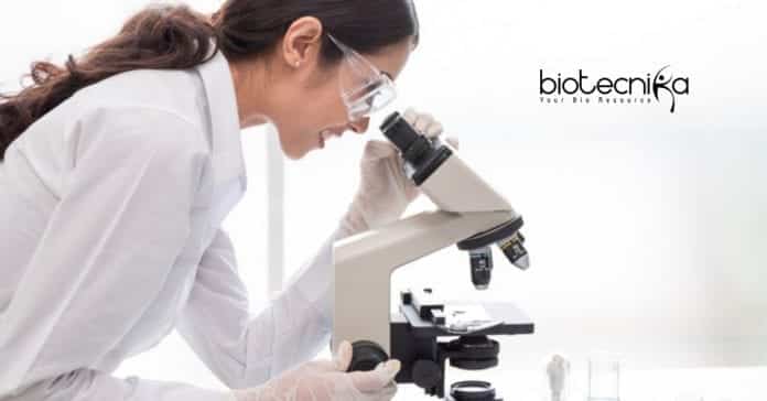 IISER Kolkata Biotech JRF