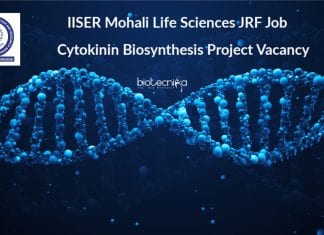 IISER Mohali Life Sciences JRF Job – Cytokinin Biosynthesis Project Vacancy IISER Mohali Latest Vacancies