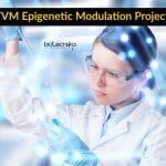 IISER TVM Epigenetic Modulation Project Jobs – Biological Sciences Apply IISER TVM Biological Science
